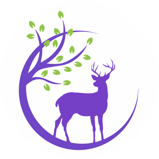 dc pso site icon